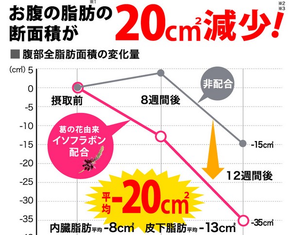 太田胃散葛の花イソフラボンウエストサポート茶